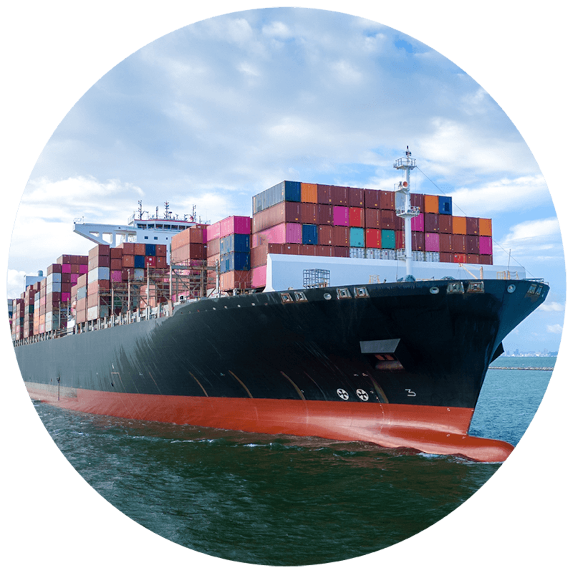 Export & International Supply