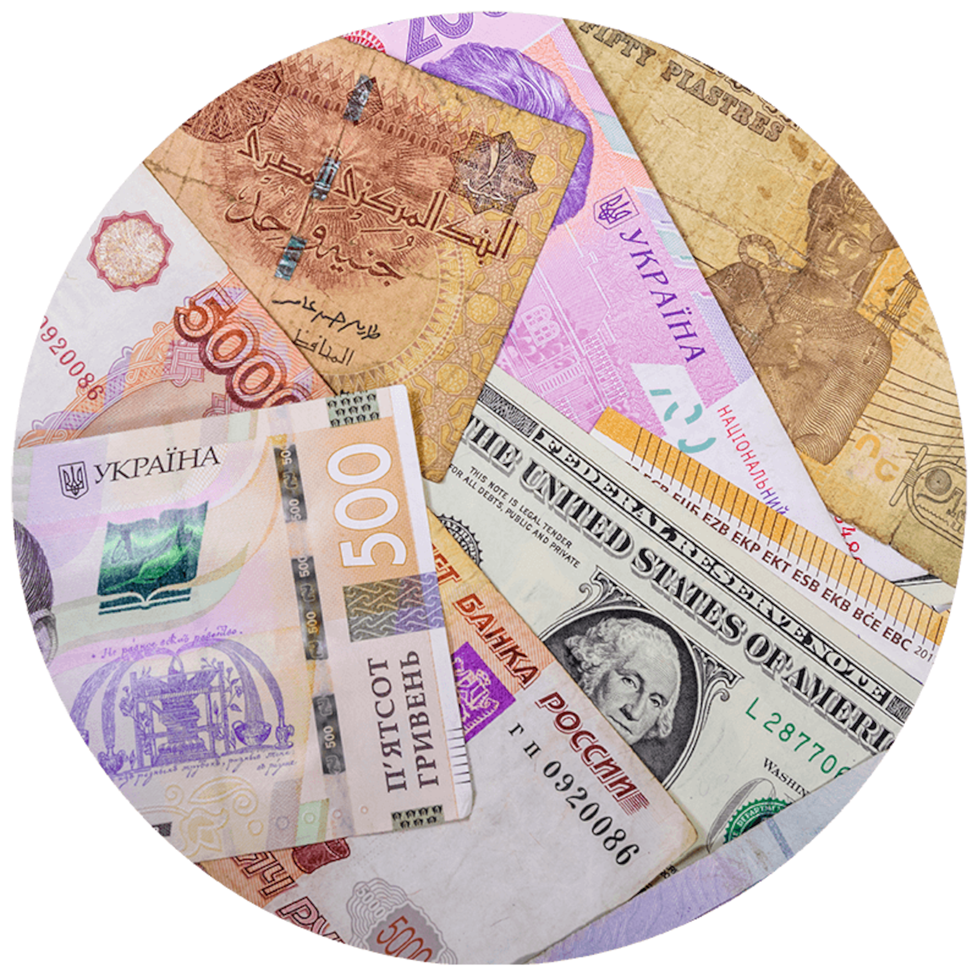 Export & International Supply