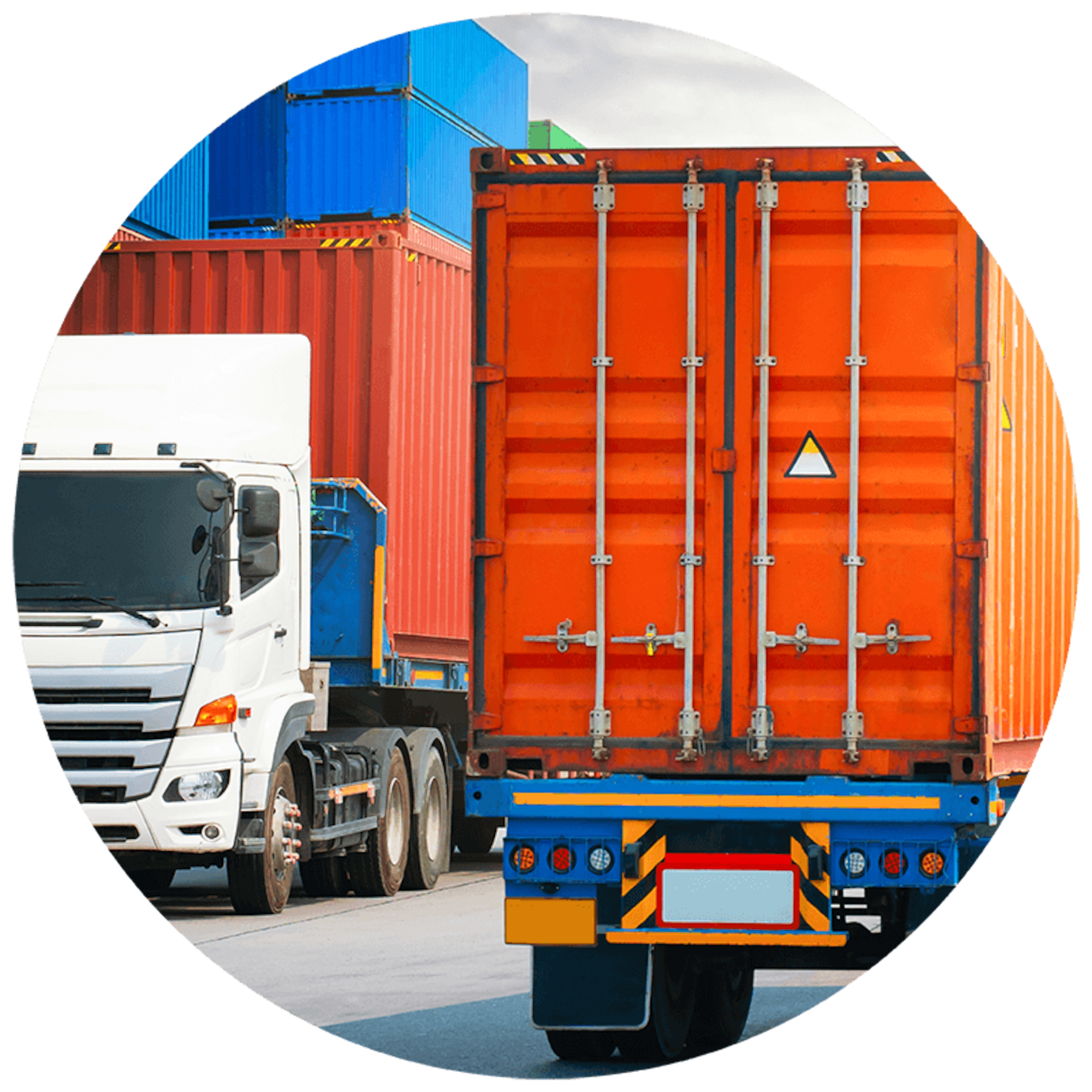 Export & International Supply