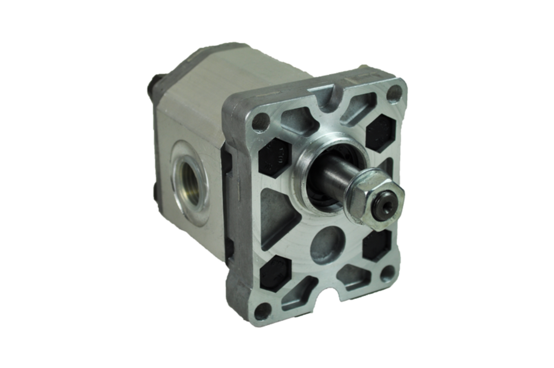 Image of hydraulic gear pump
