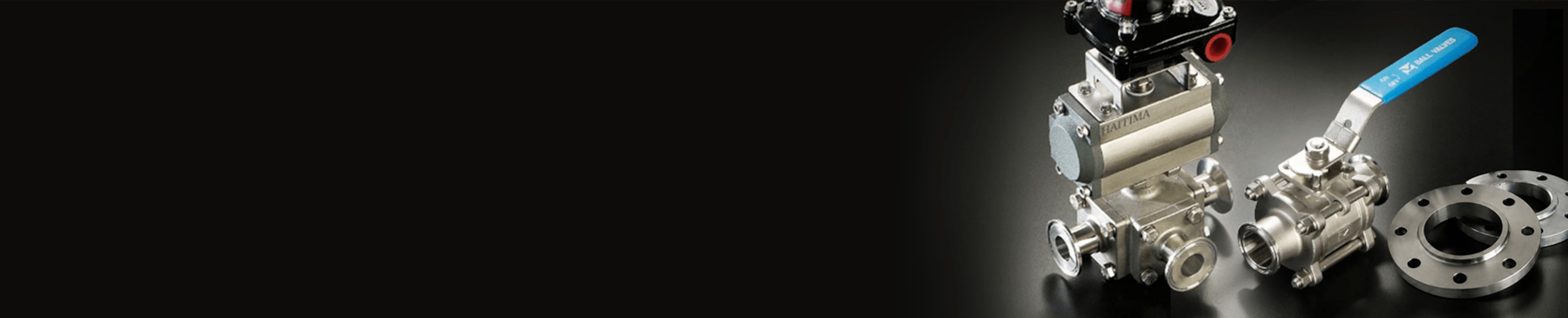 Haitima Brand Page Banner