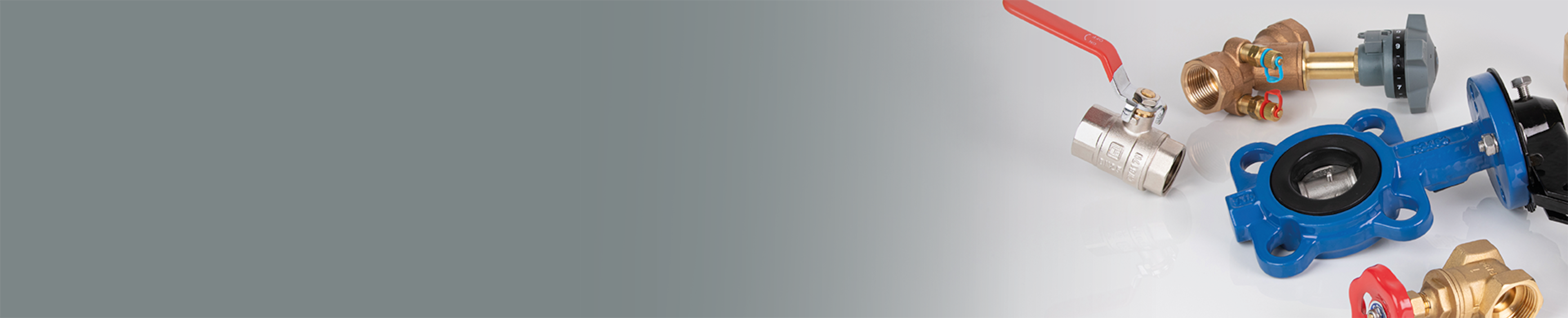 Valves Landing page Header