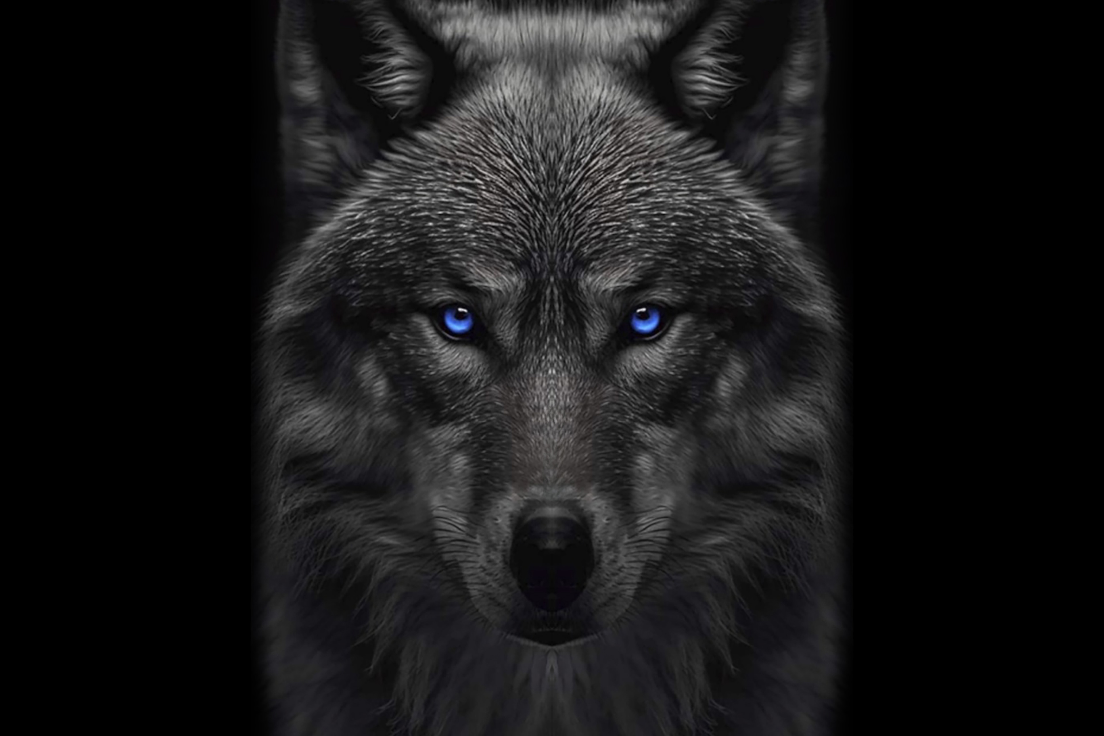 Flowtech Wolf