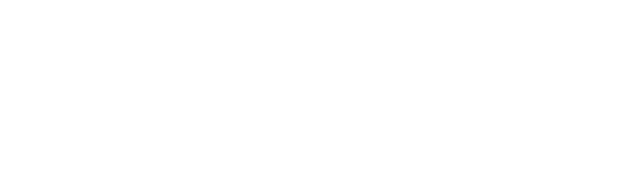 Flowtech Logo (White)